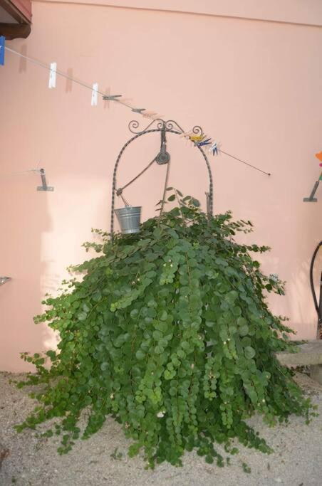 Bouganville, casa sul giardino vicino Otranto photo 3