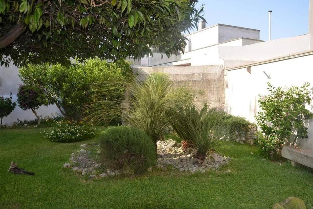 Bouganville, casa sul giardino vicino Otranto