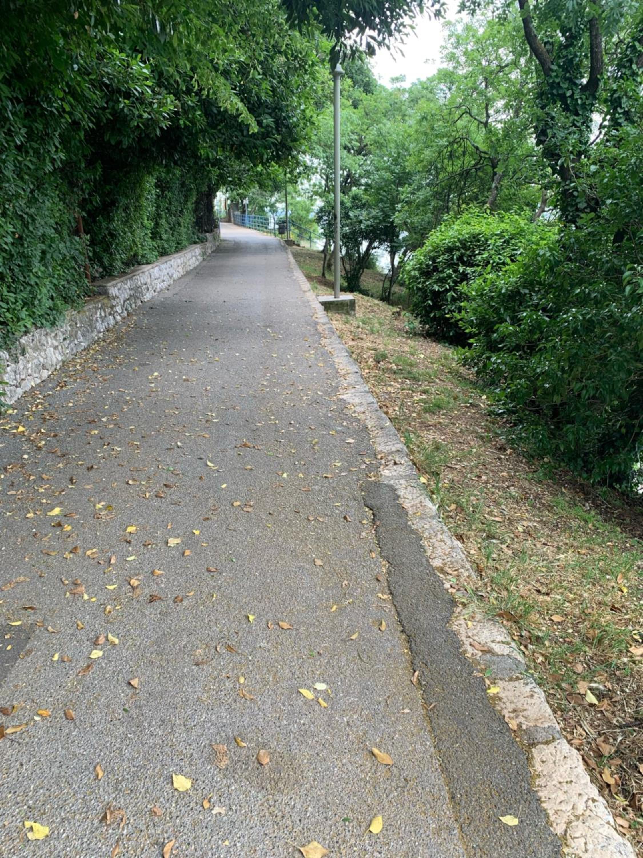 Apartman Nataša view 3