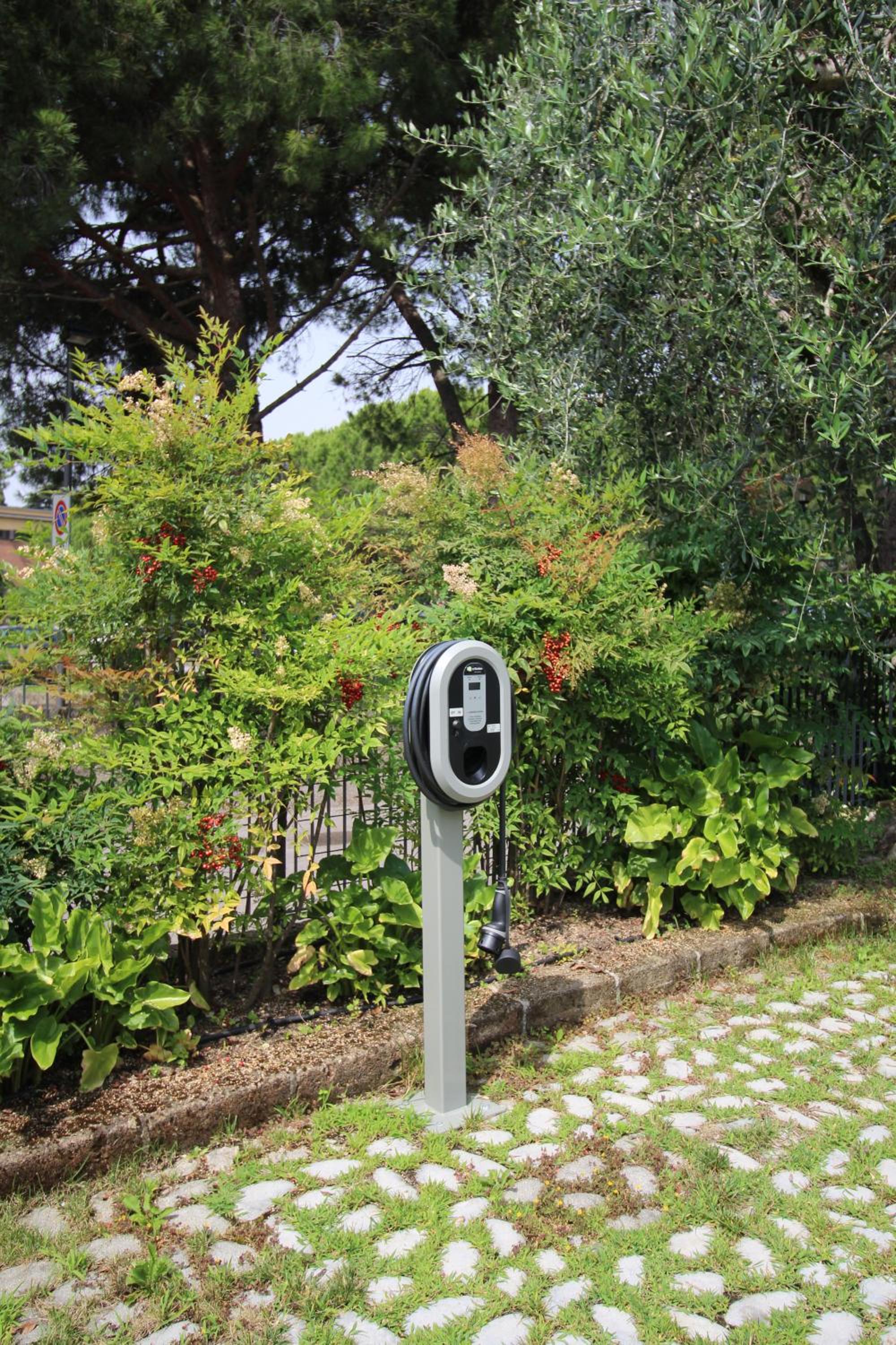 Photo 25