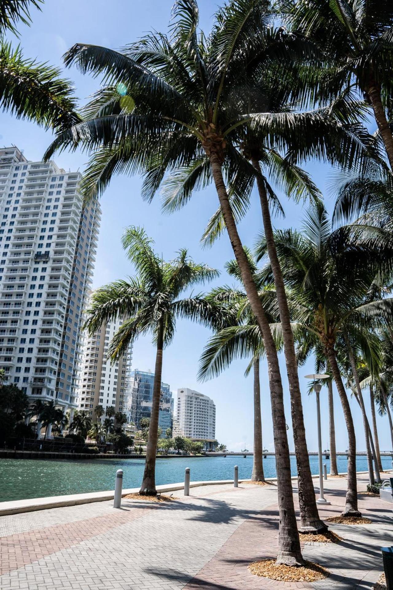 Icon Brickell Stay, Pool, Spa, Views, Restaurants
