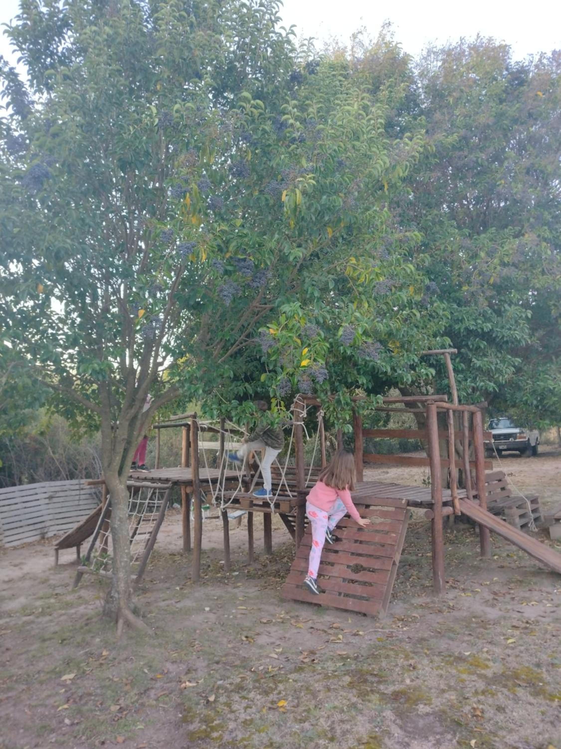 El Algarrobo Escondido Canchas de Pádel y Bosque Serrano