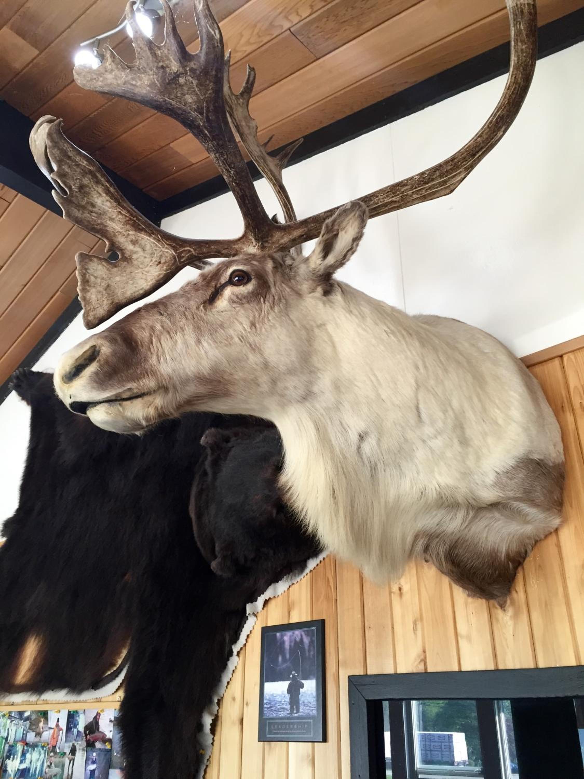 Copper River Motel