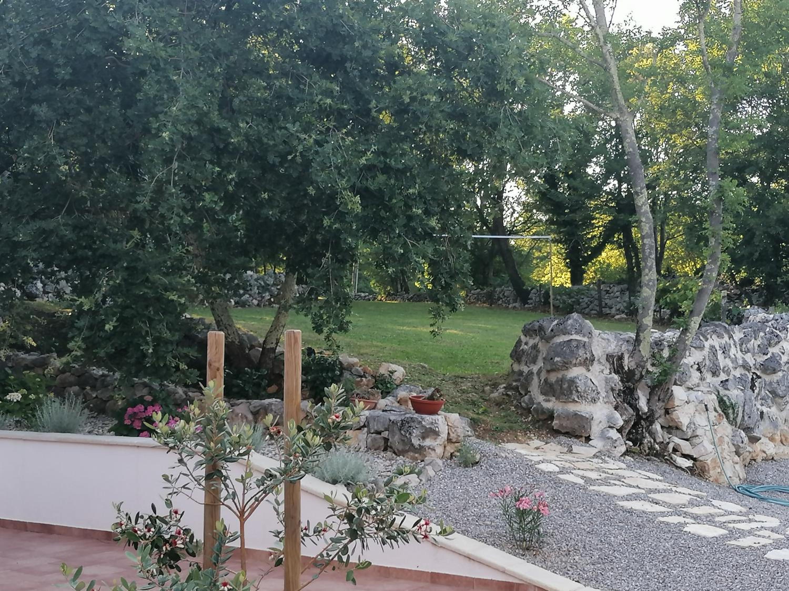 Photo 51