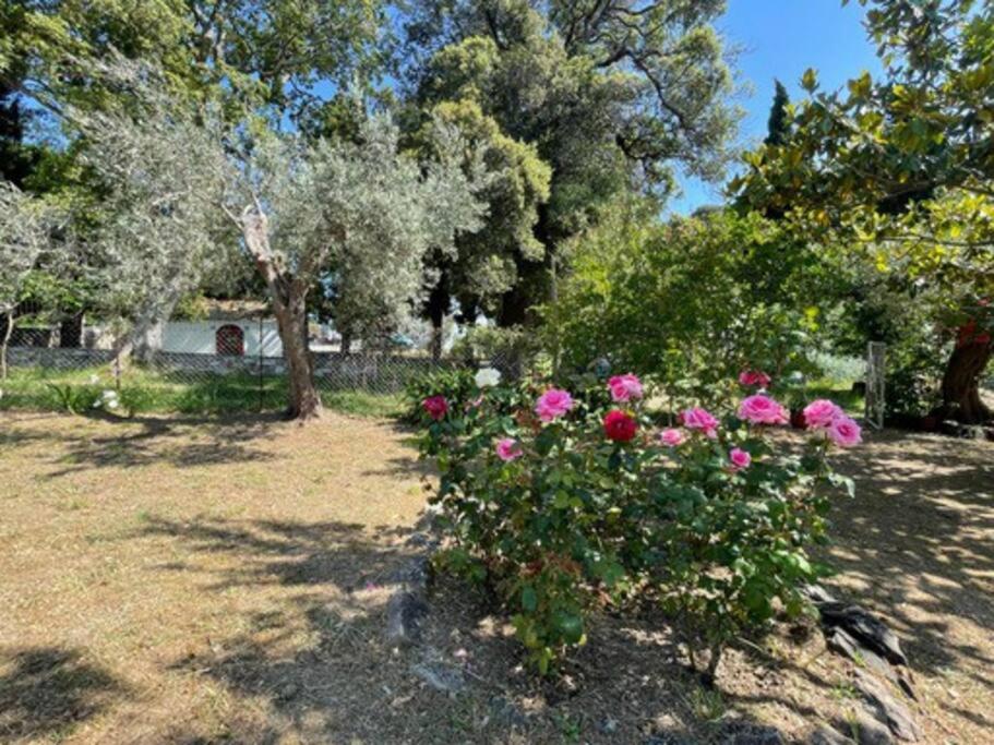 other