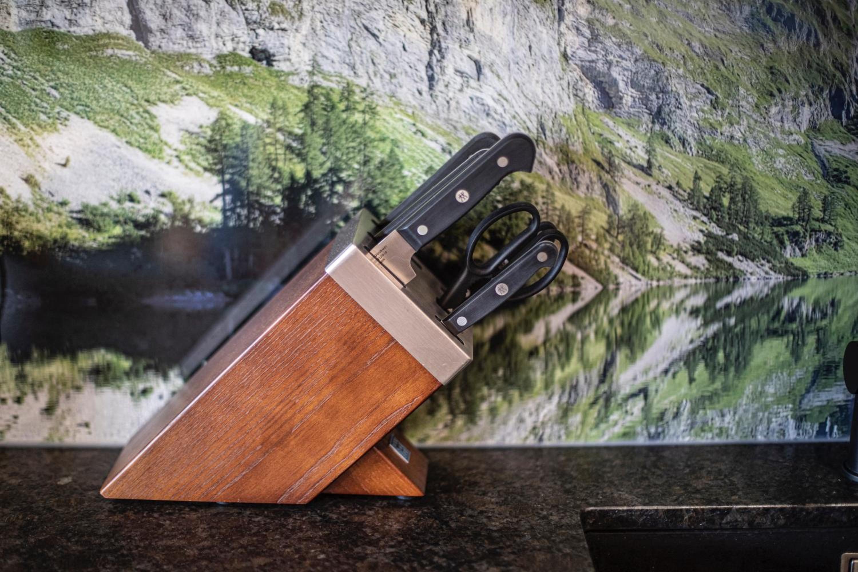 Dachstein Chalet
