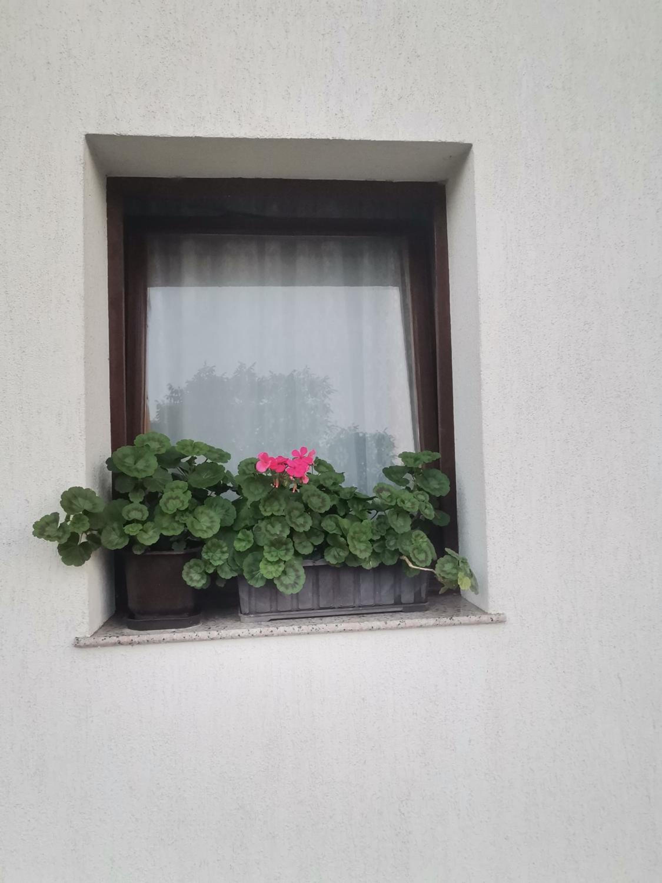 AM apartman