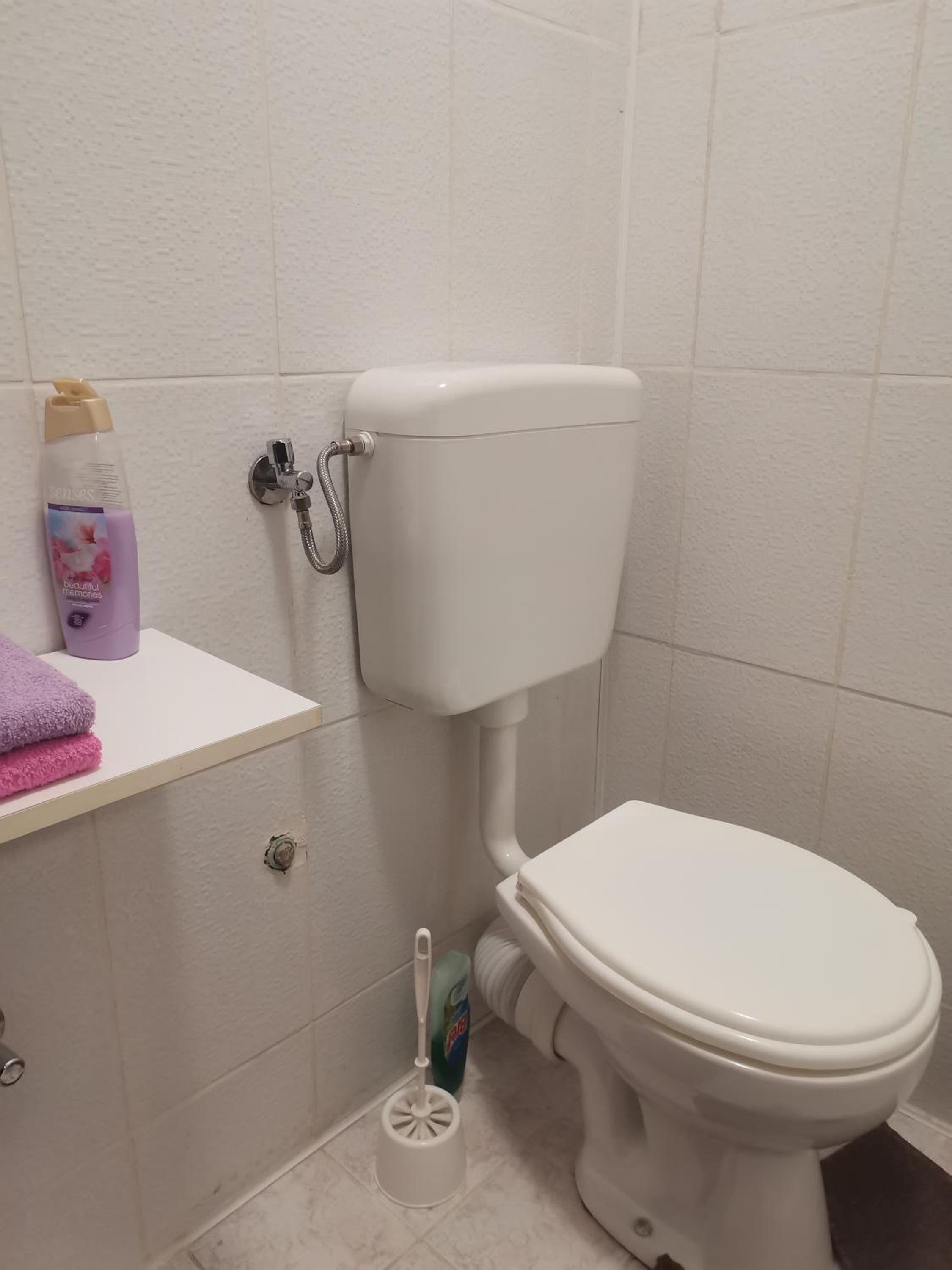 AM apartman