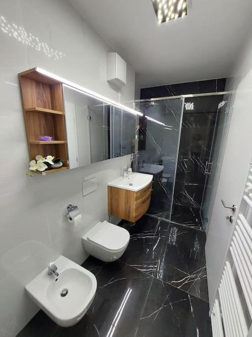 Luxury Apartment Ljubljana view 4