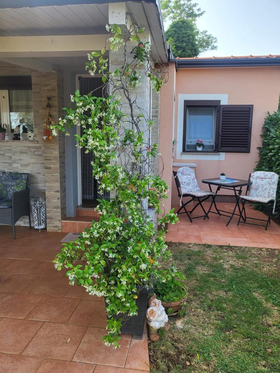 Photo 31