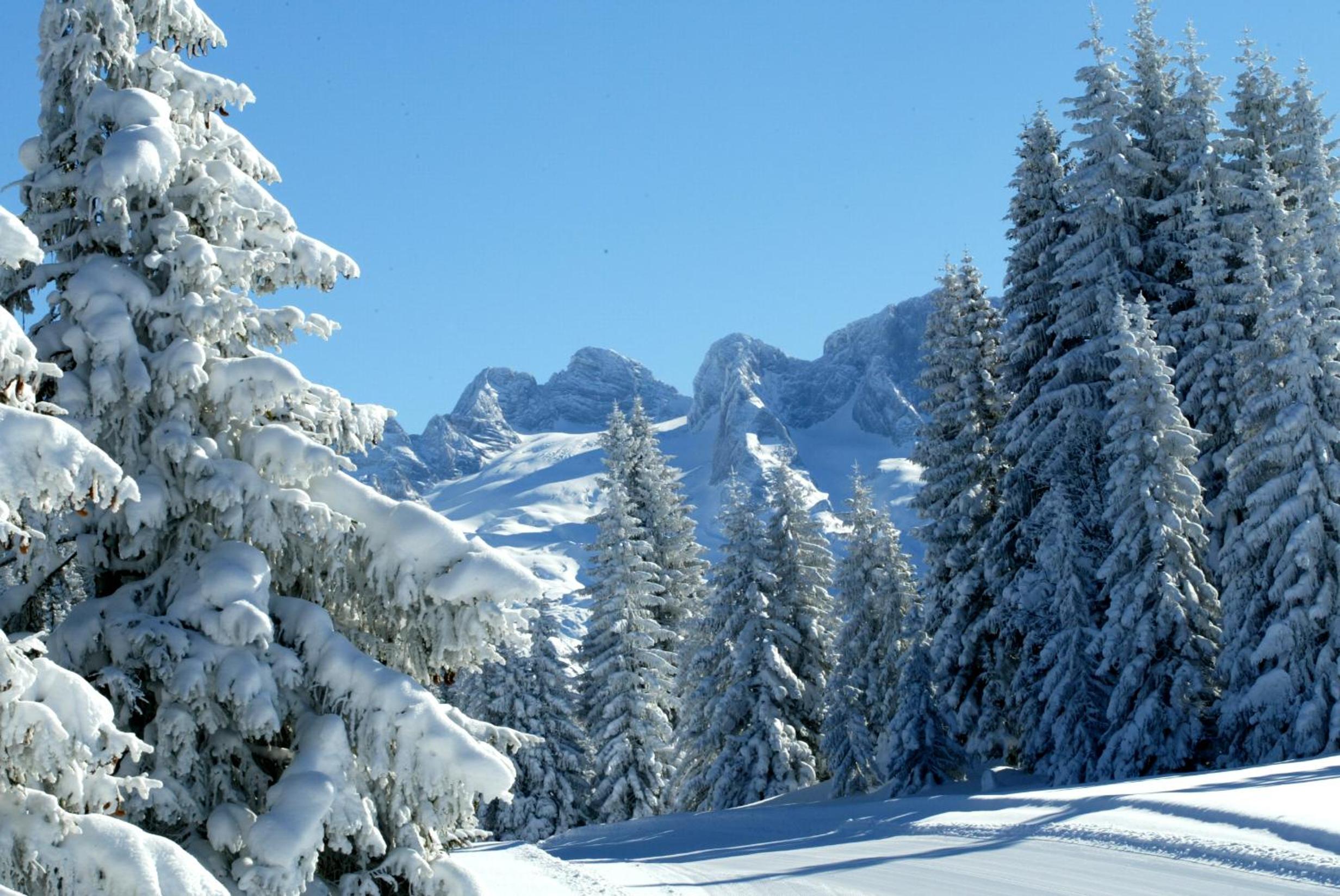 Landhaus Schwaighofer Dachstein West