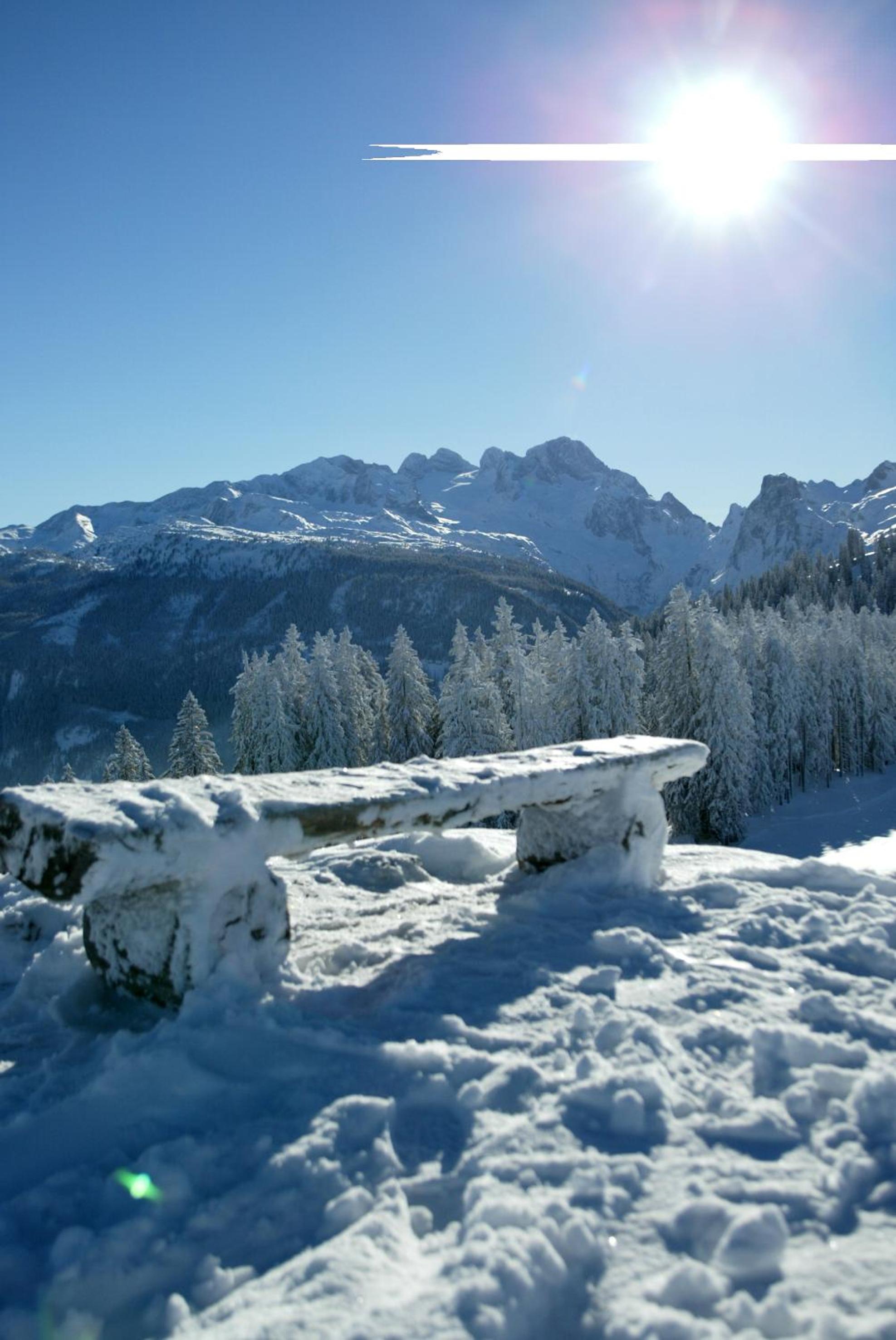 Landhaus Schwaighofer Dachstein West