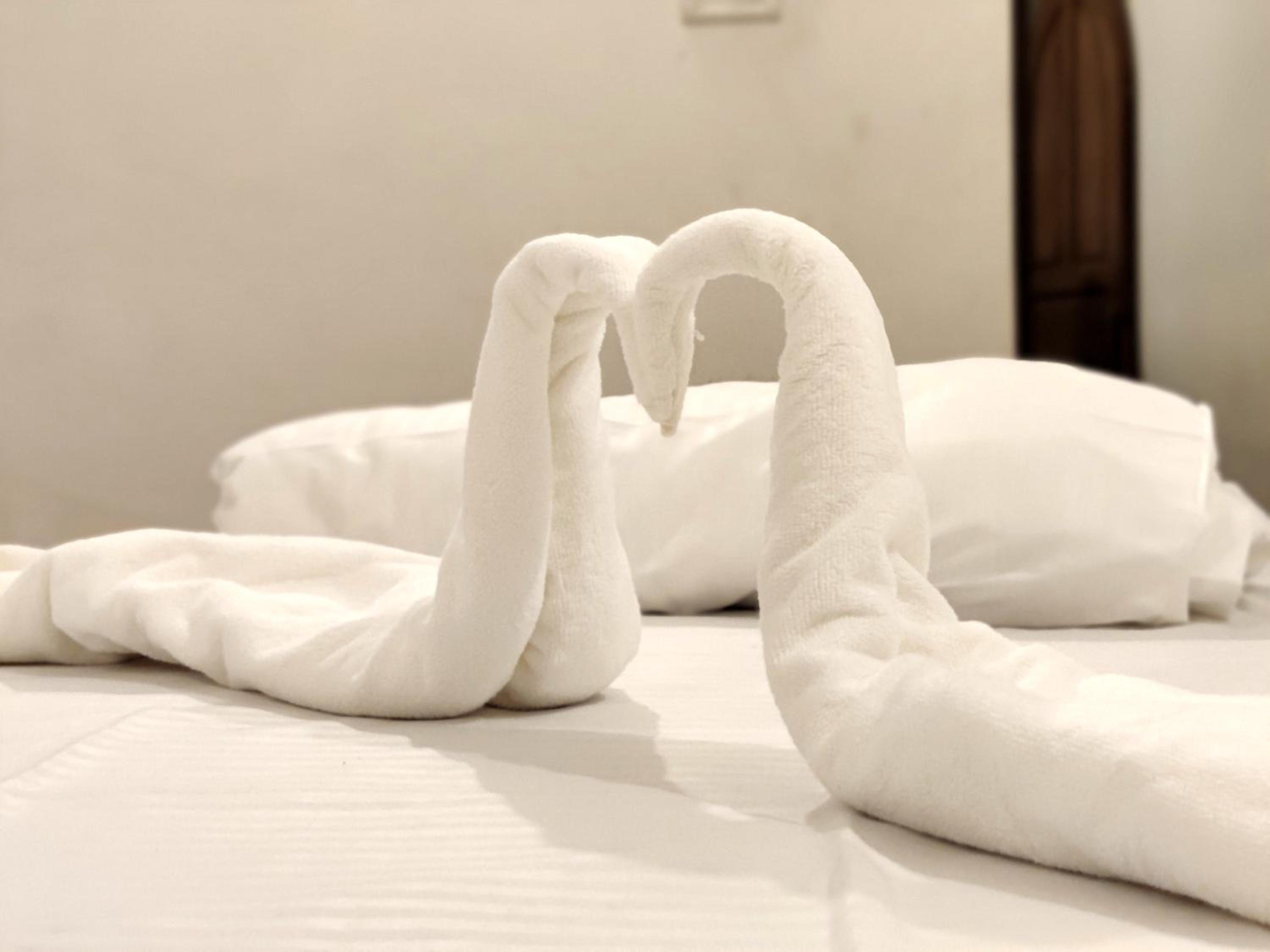 Calangute Turista