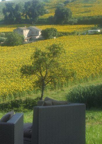 Agriturismo Il Gelso Antico
