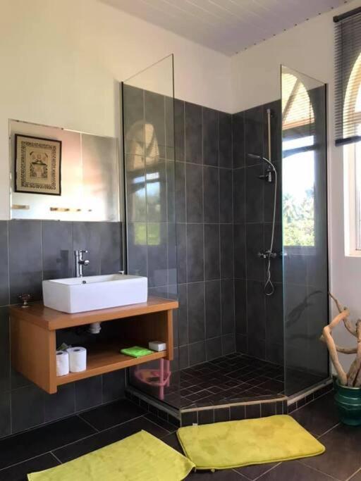 Te Mana Lodge view 5