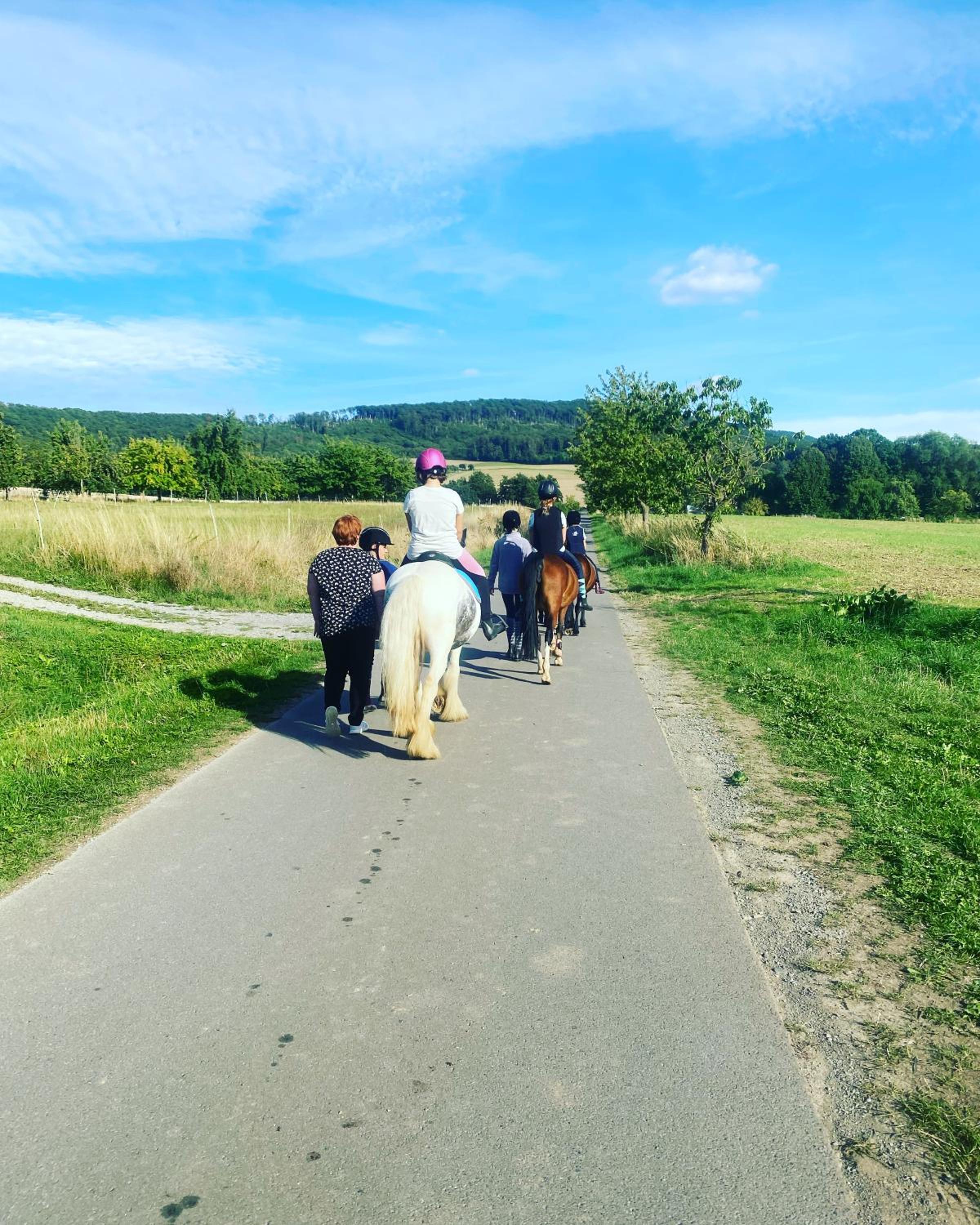 FeWo im Reit- und Ponyparadies Roos