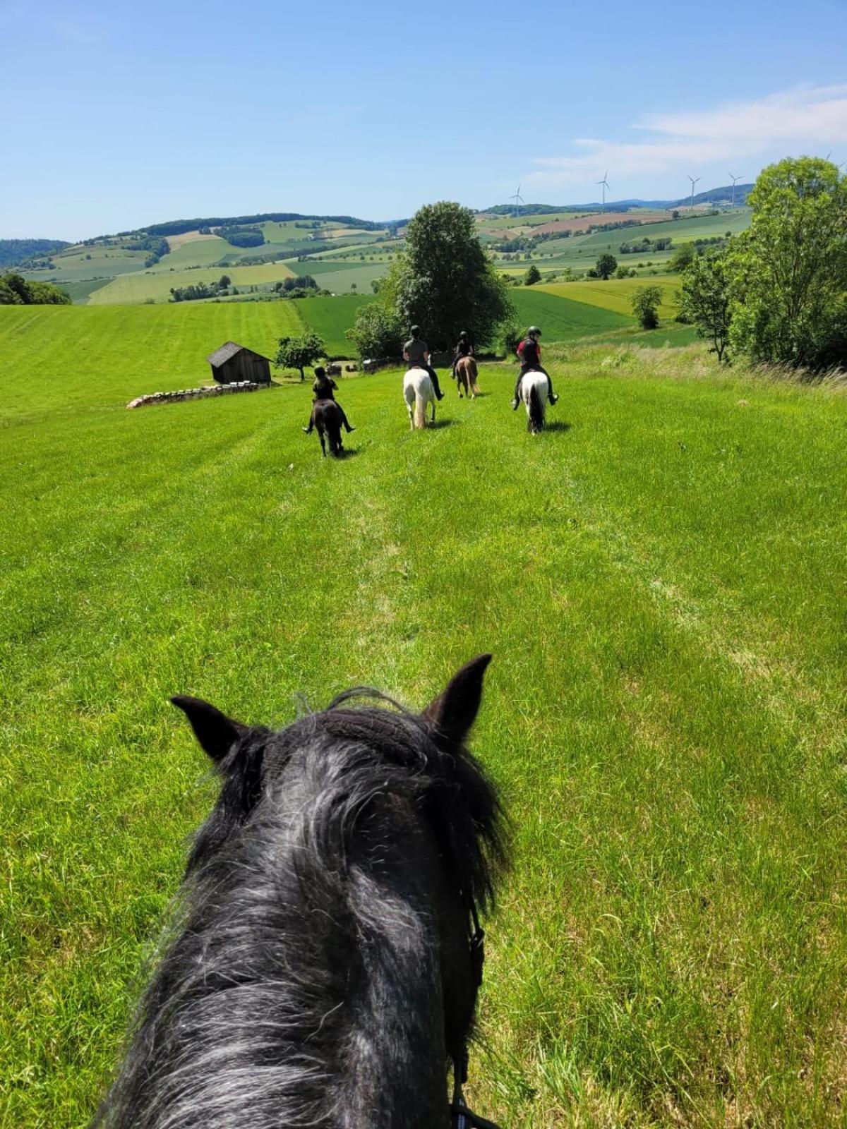 FeWo im Reit- und Ponyparadies Roos