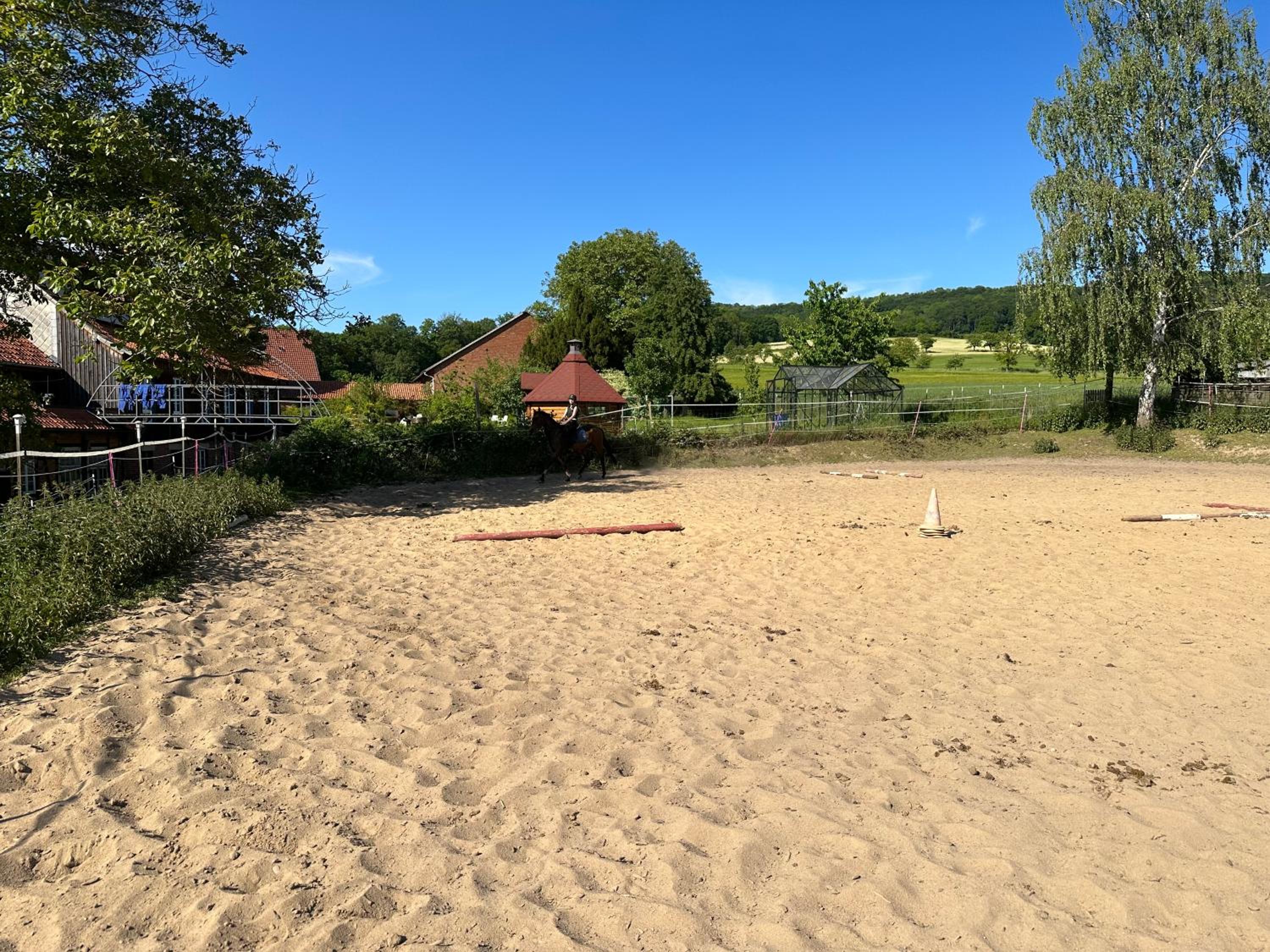 FeWo im Reit- und Ponyparadies Roos