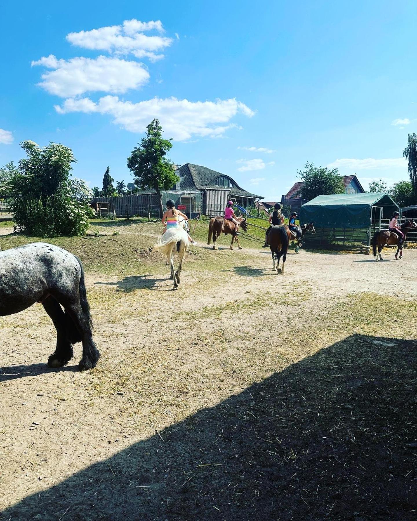 FeWo im Reit- und Ponyparadies Roos