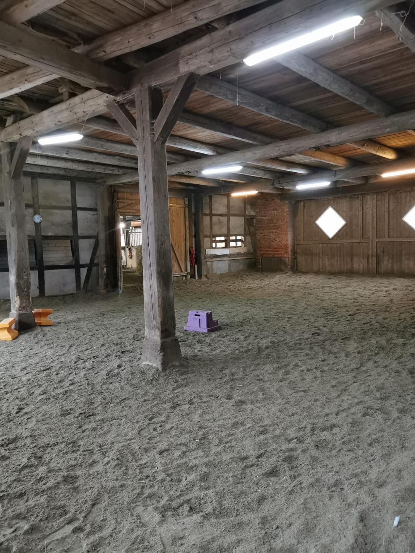 FeWo im Reit- und Ponyparadies Roos