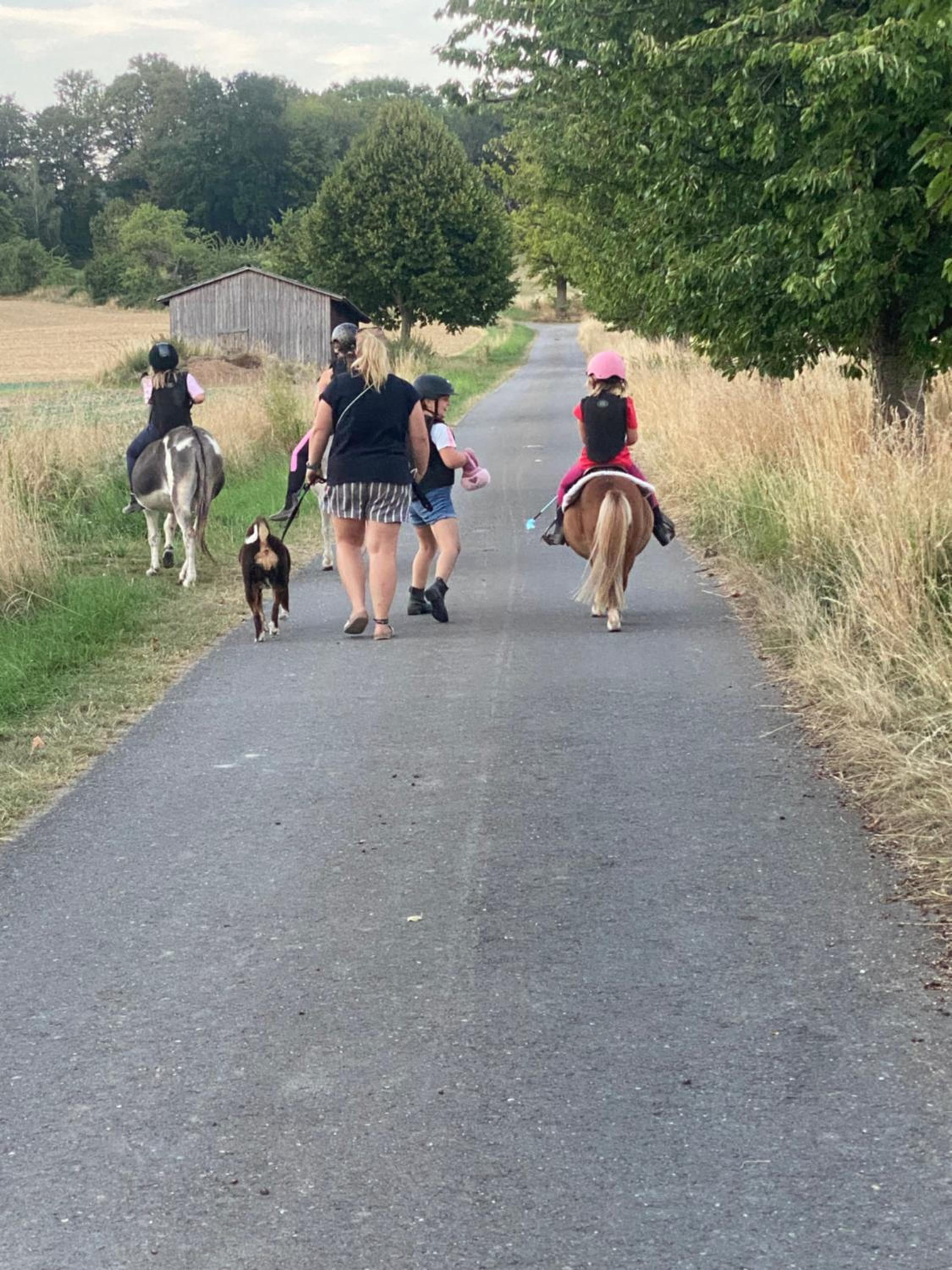 FeWo im Reit- und Ponyparadies Roos