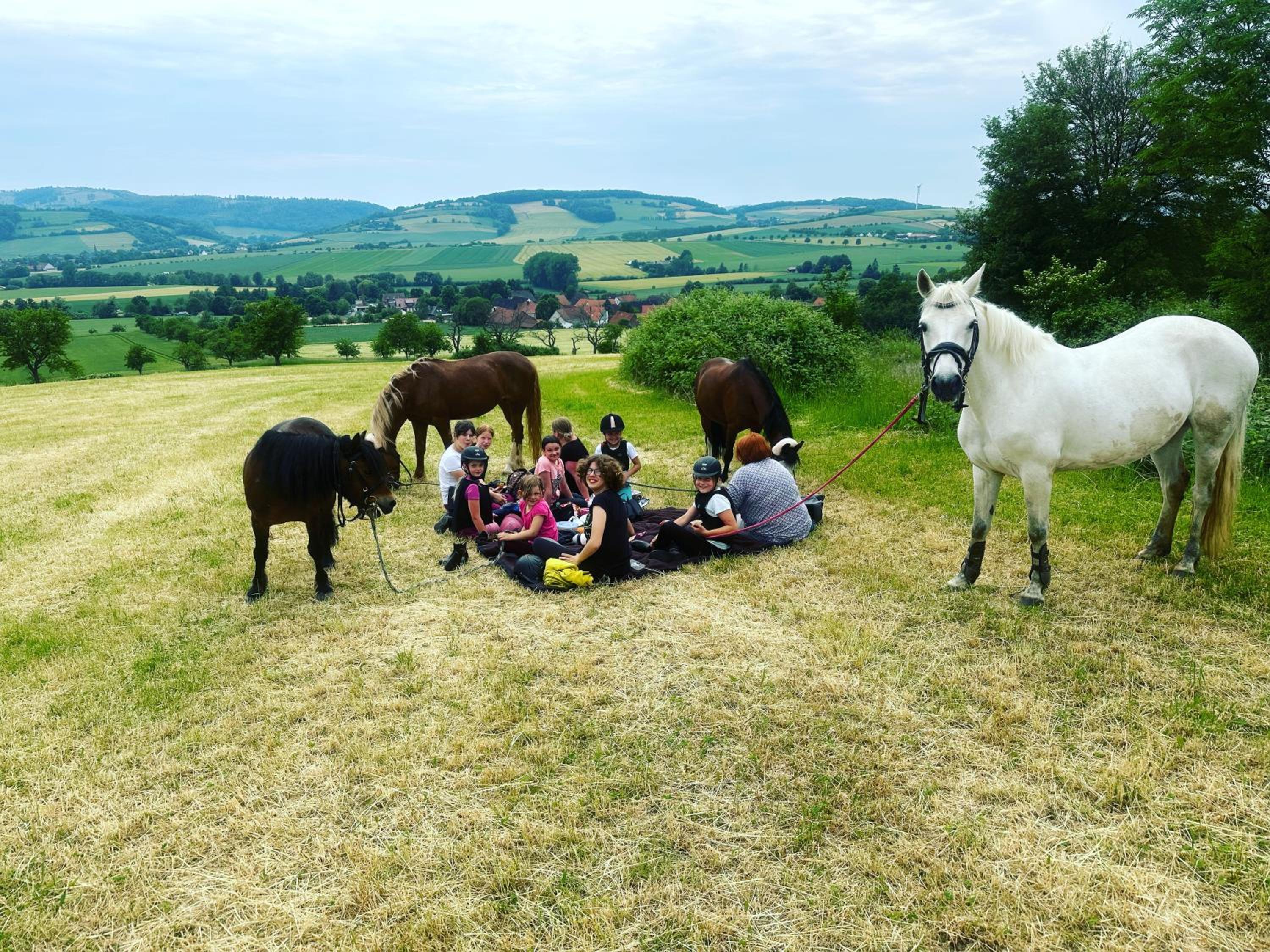 FeWo im Reit- und Ponyparadies Roos