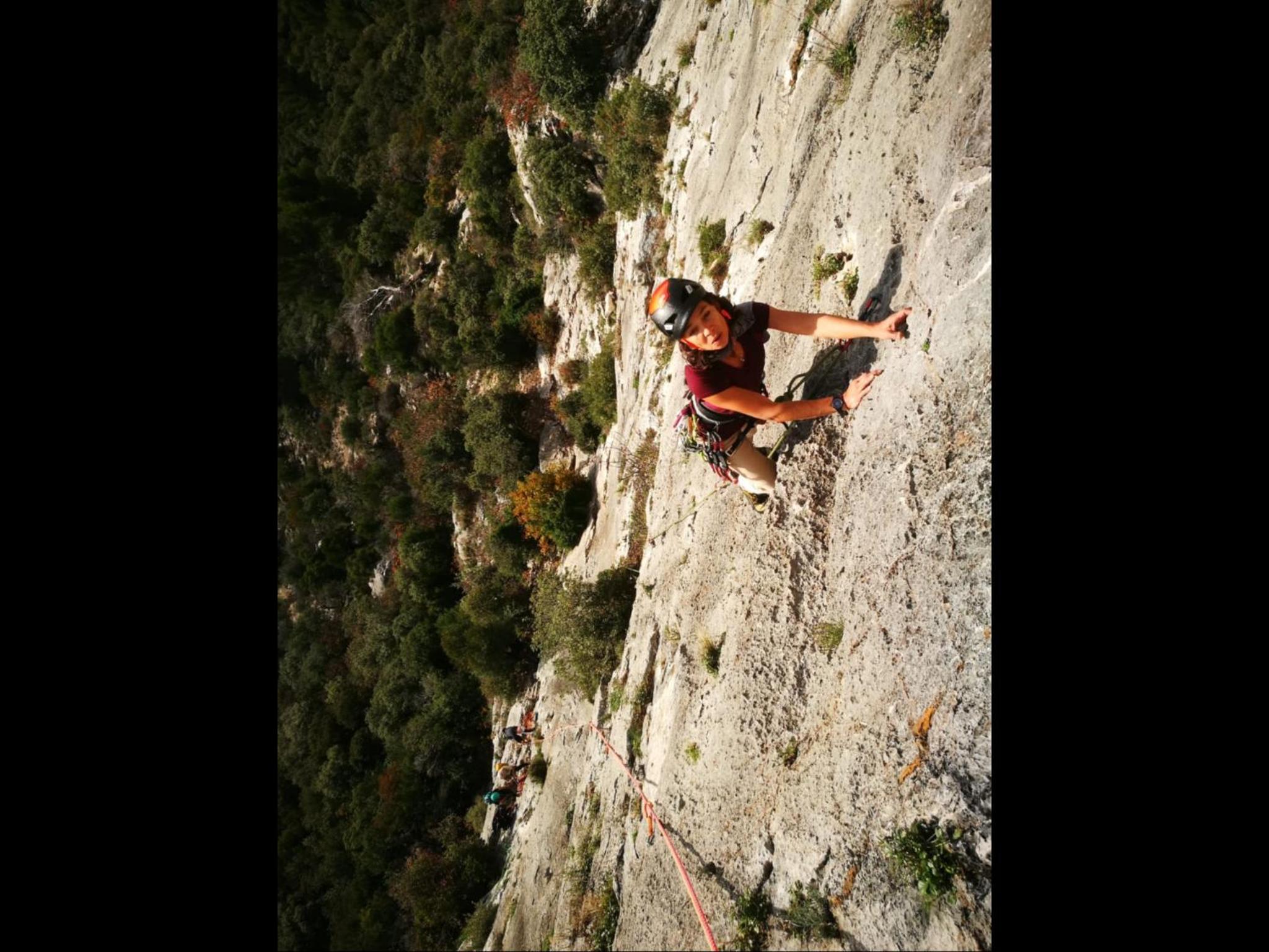 Le Castellas du Pic St Loup