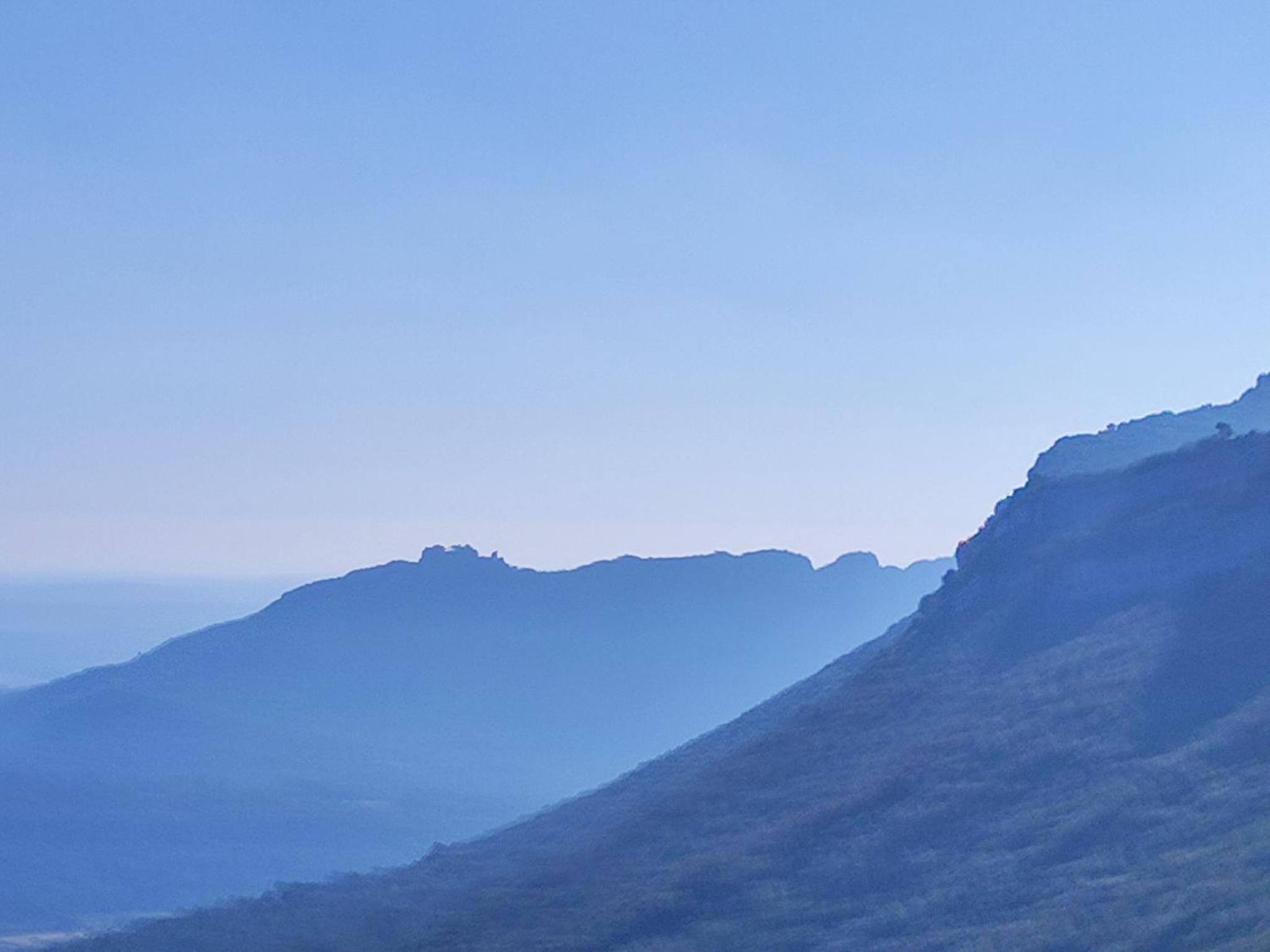 Le Castellas du Pic St Loup