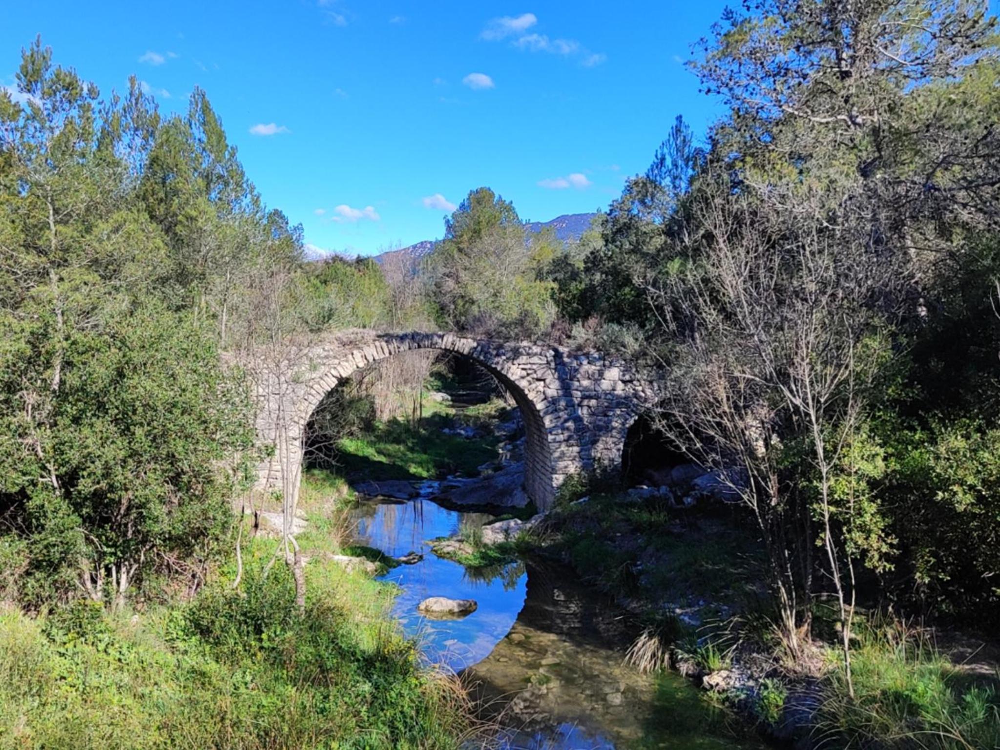 Le Castellas du Pic St Loup