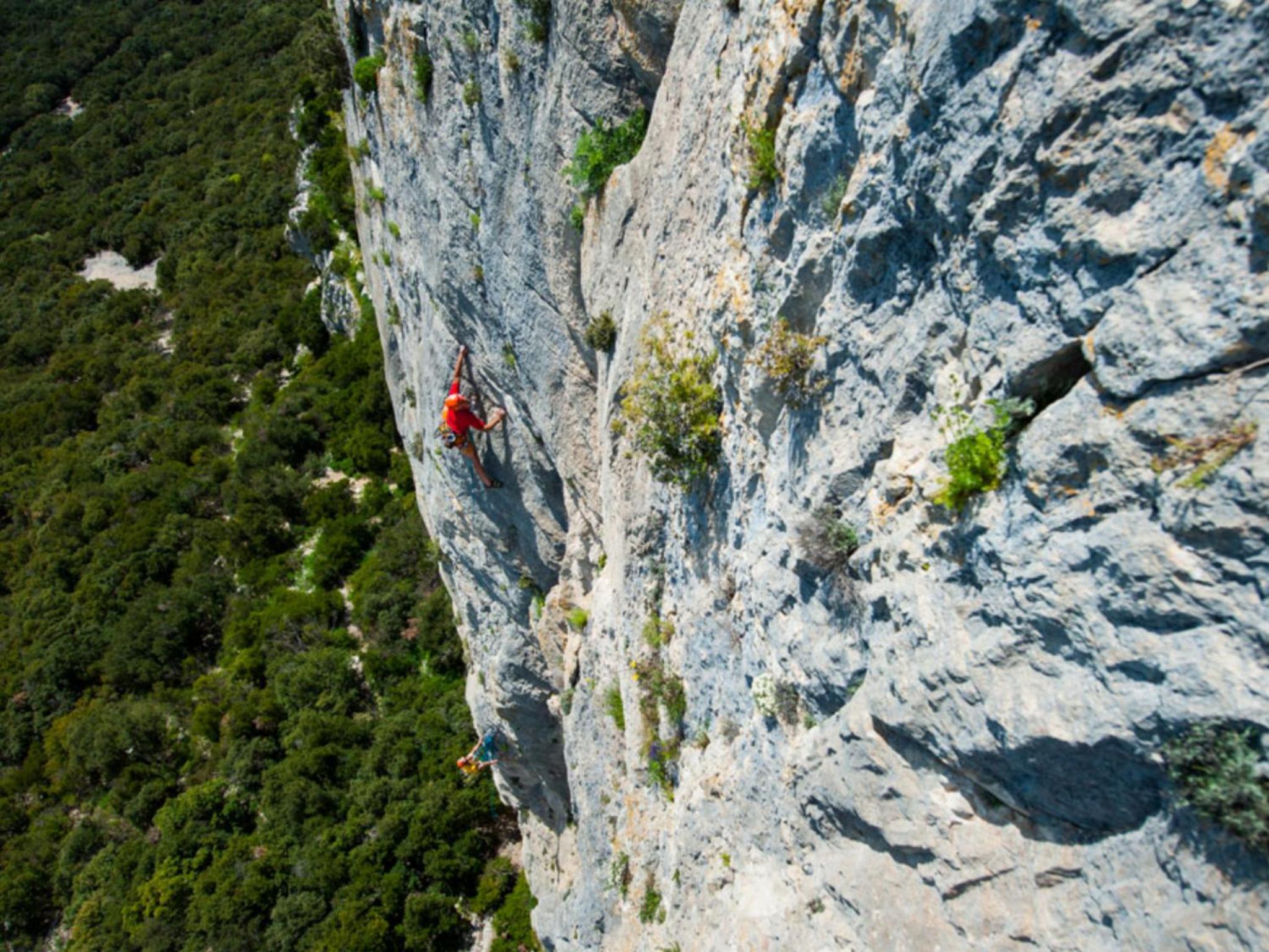 Le Castellas du Pic St Loup