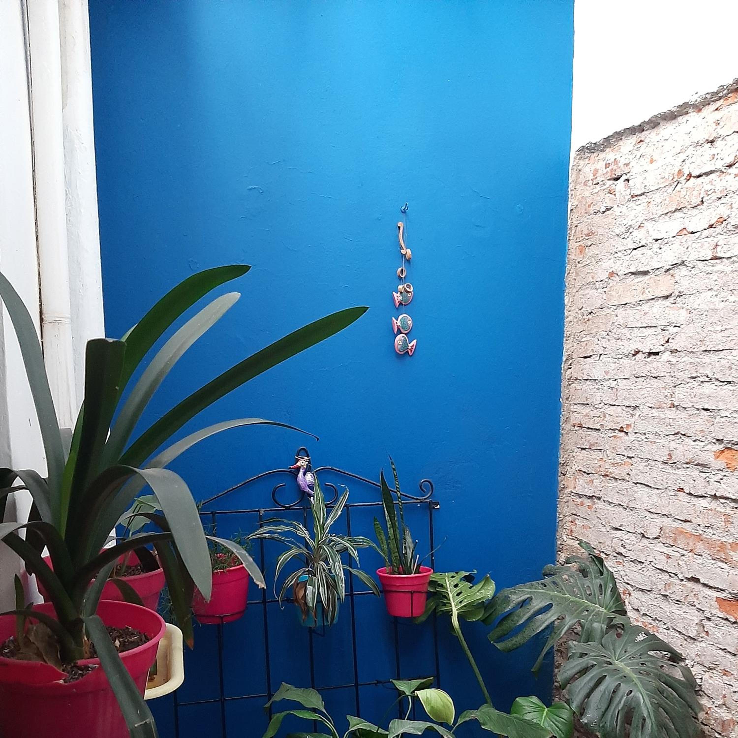 Mi Hogar tu Hogar
