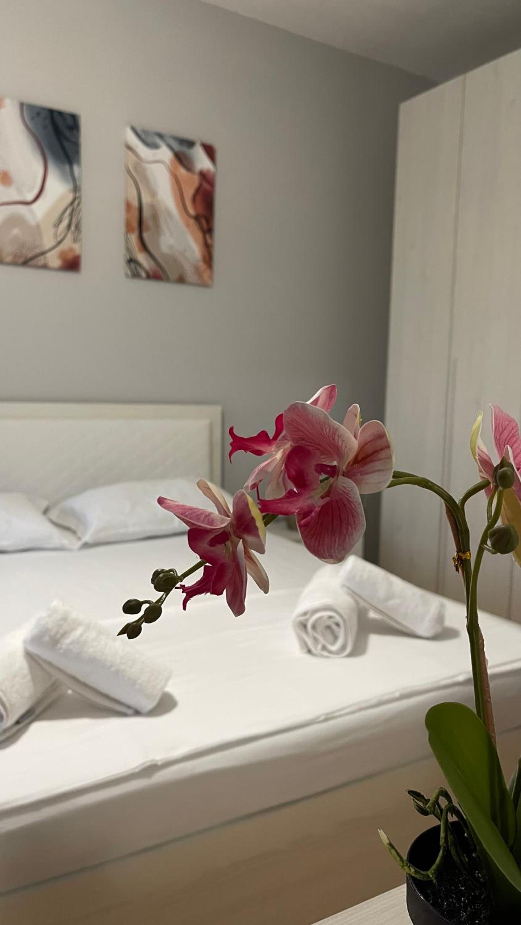One-Bedroom Apartment Near U.S. Embassy