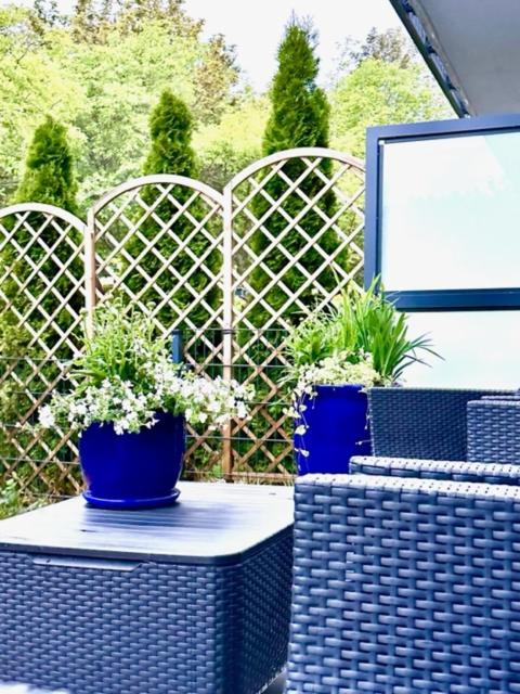 Apartament Zielone Zacisze view 5