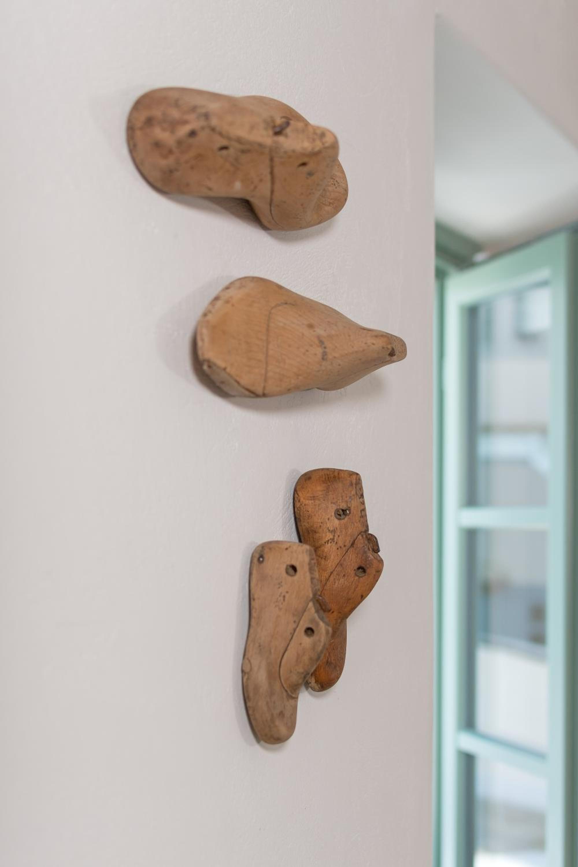 Anestorema House