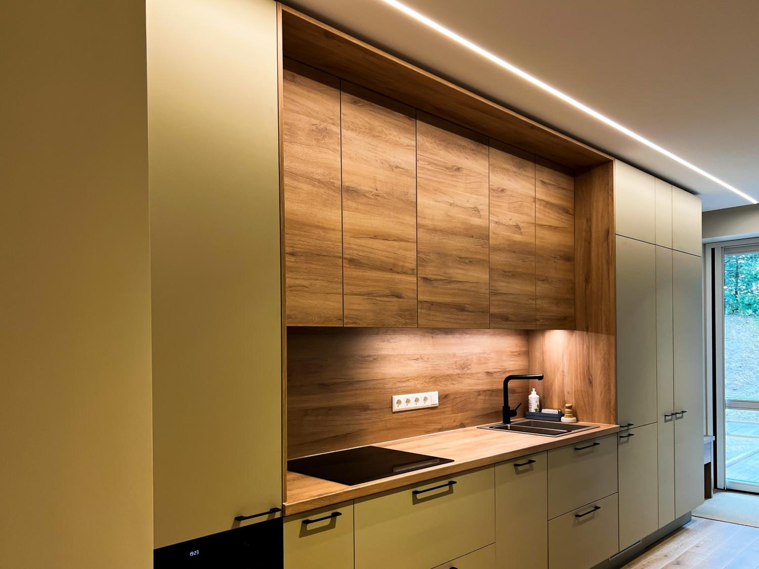Pinecone terrace - 2 bedrooms apartment with terrace Nida view 3