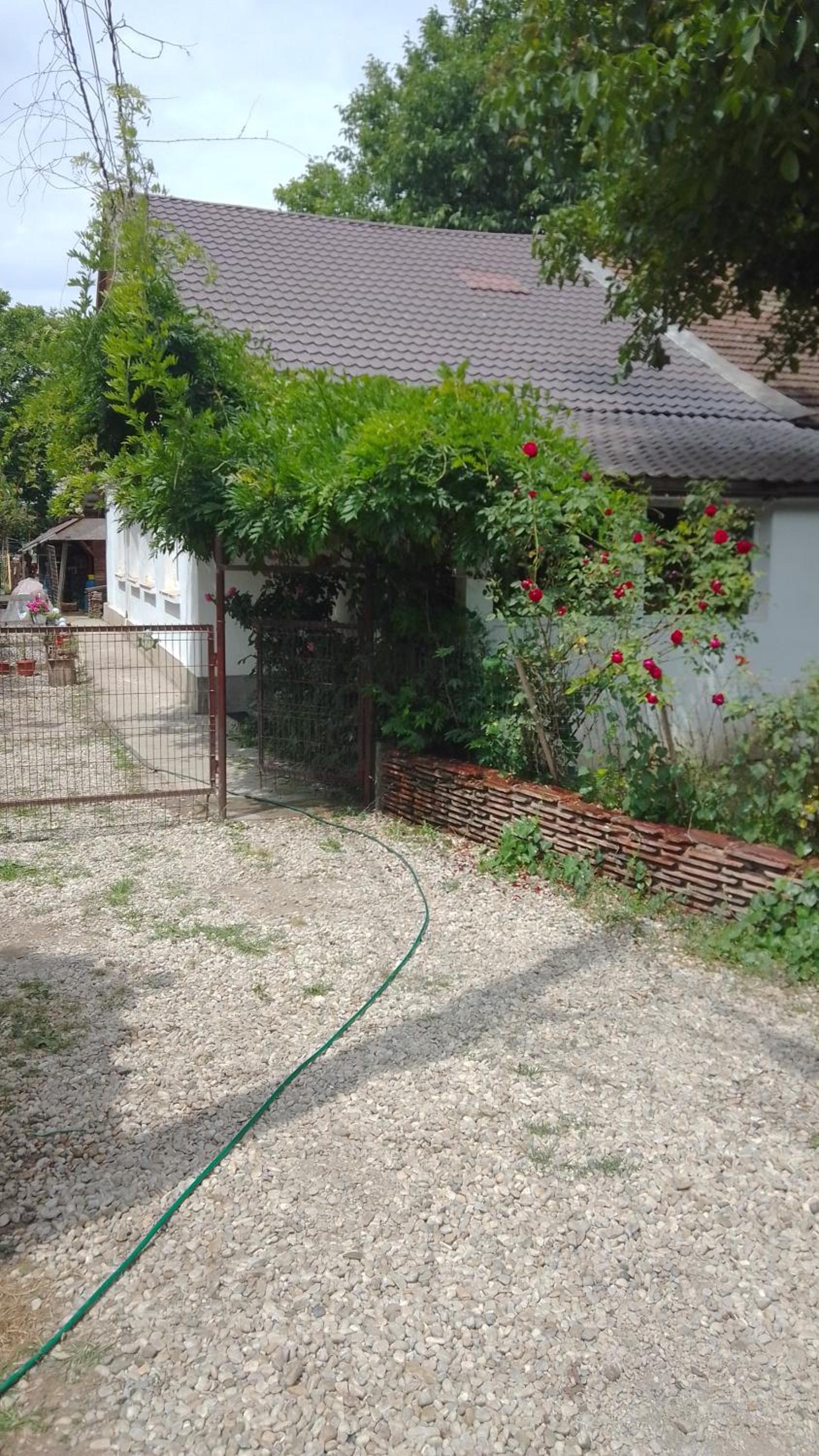 Photo 47