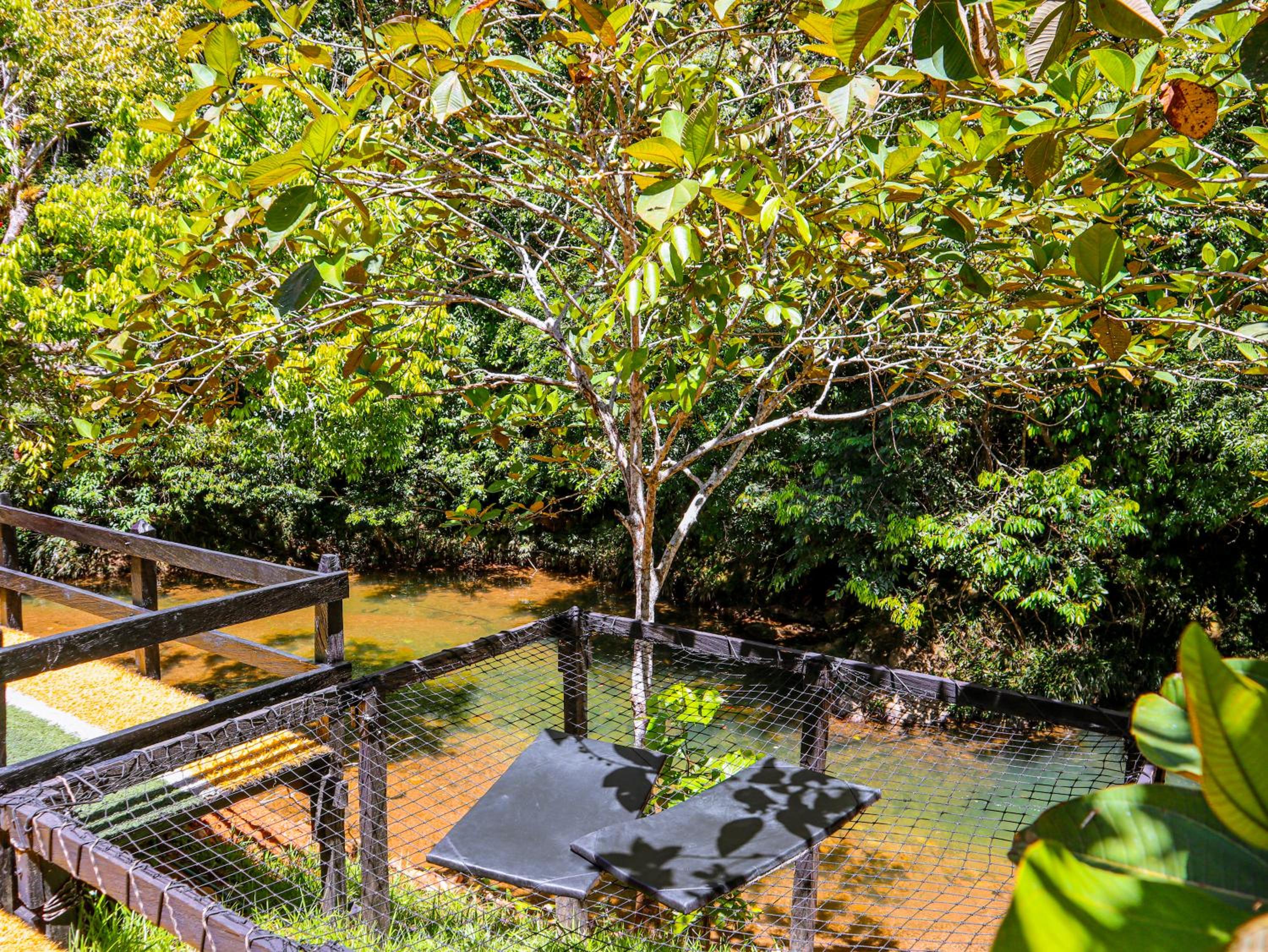 Glamping Río Claro