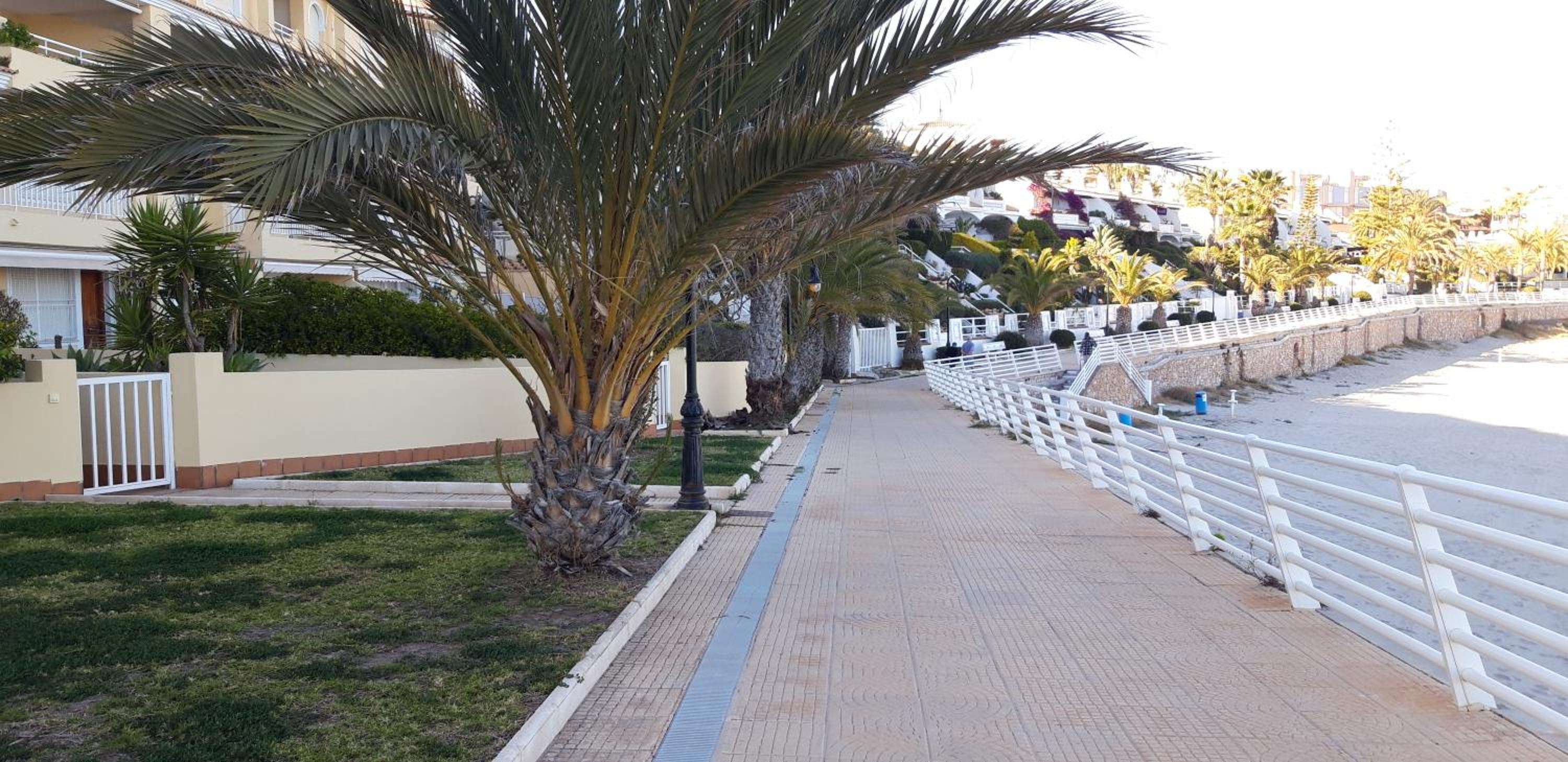 2 Habitaciones Dehesa Campoamor 50 metros a la playa view 4