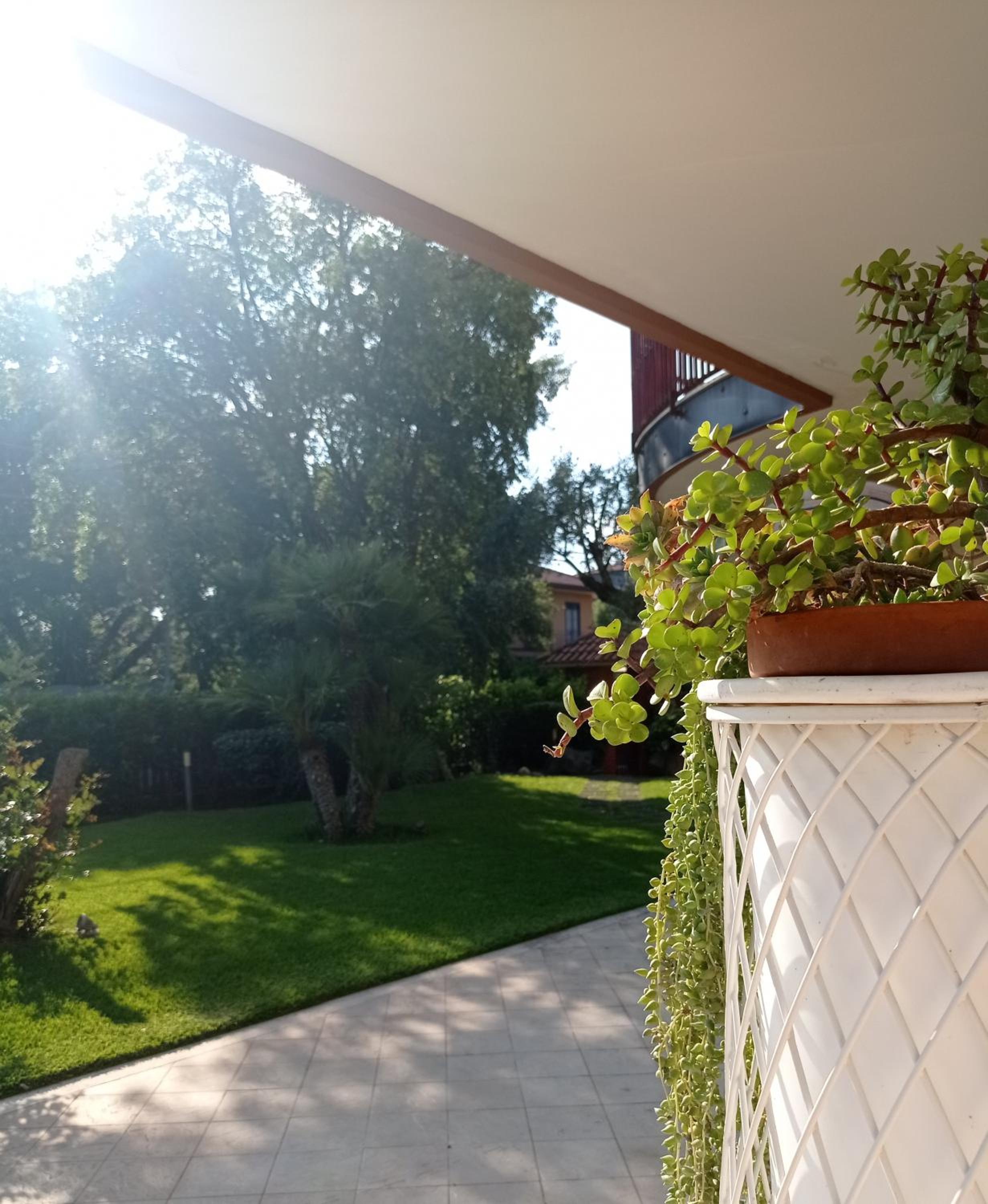 Elios