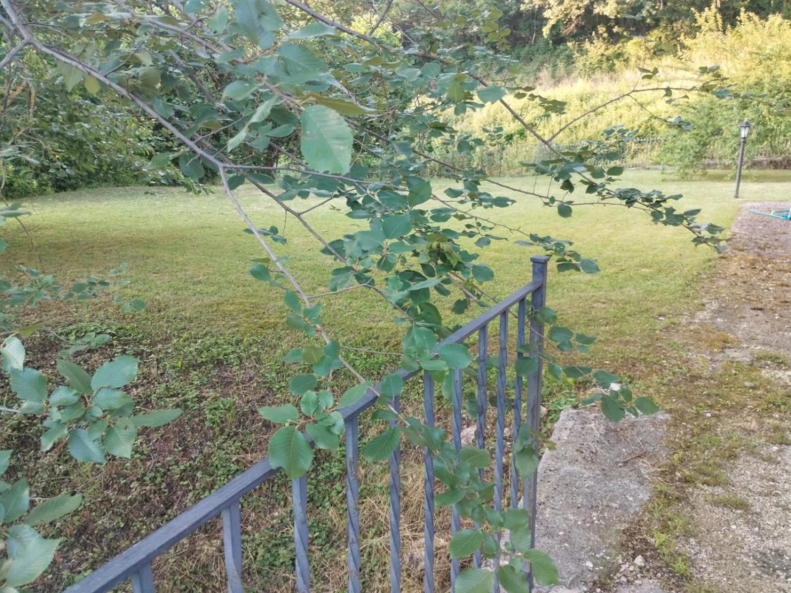 La Casa Dei Fagiani