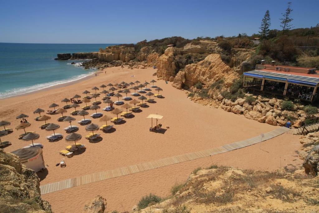 Superbe Paradis dans les Jardins de la Marina