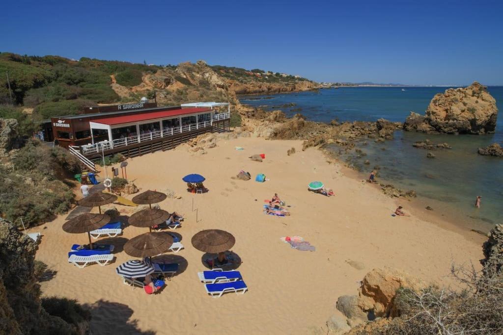 Superbe Paradis dans les Jardins de la Marina