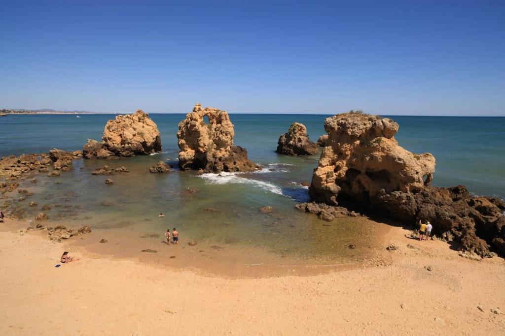 Superbe Paradis dans les Jardins de la Marina