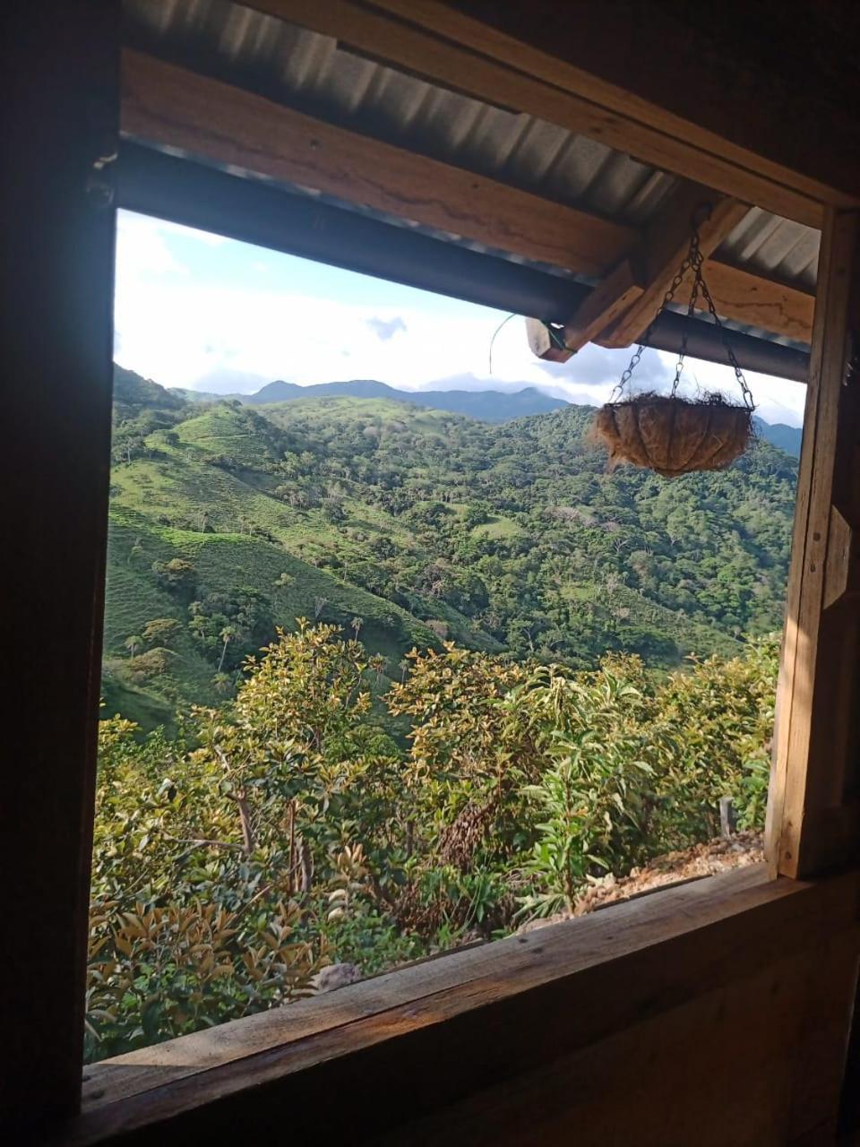 Sustainable, Off-Grid and Organic Cabins on a Farm in a Secluded Cloud Forest, Ultra Low Carbon Footprint, 4x4