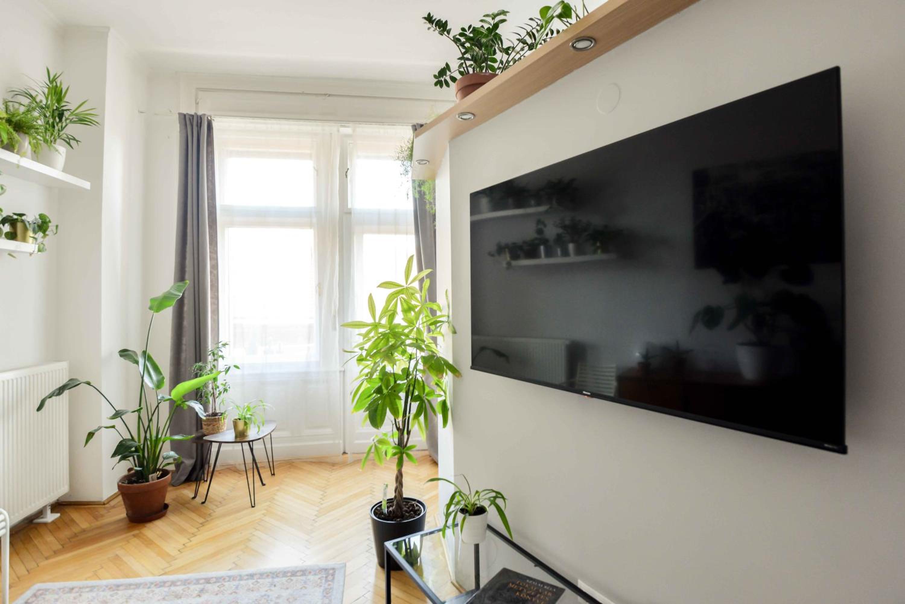 Dohany Design Apartments view 2