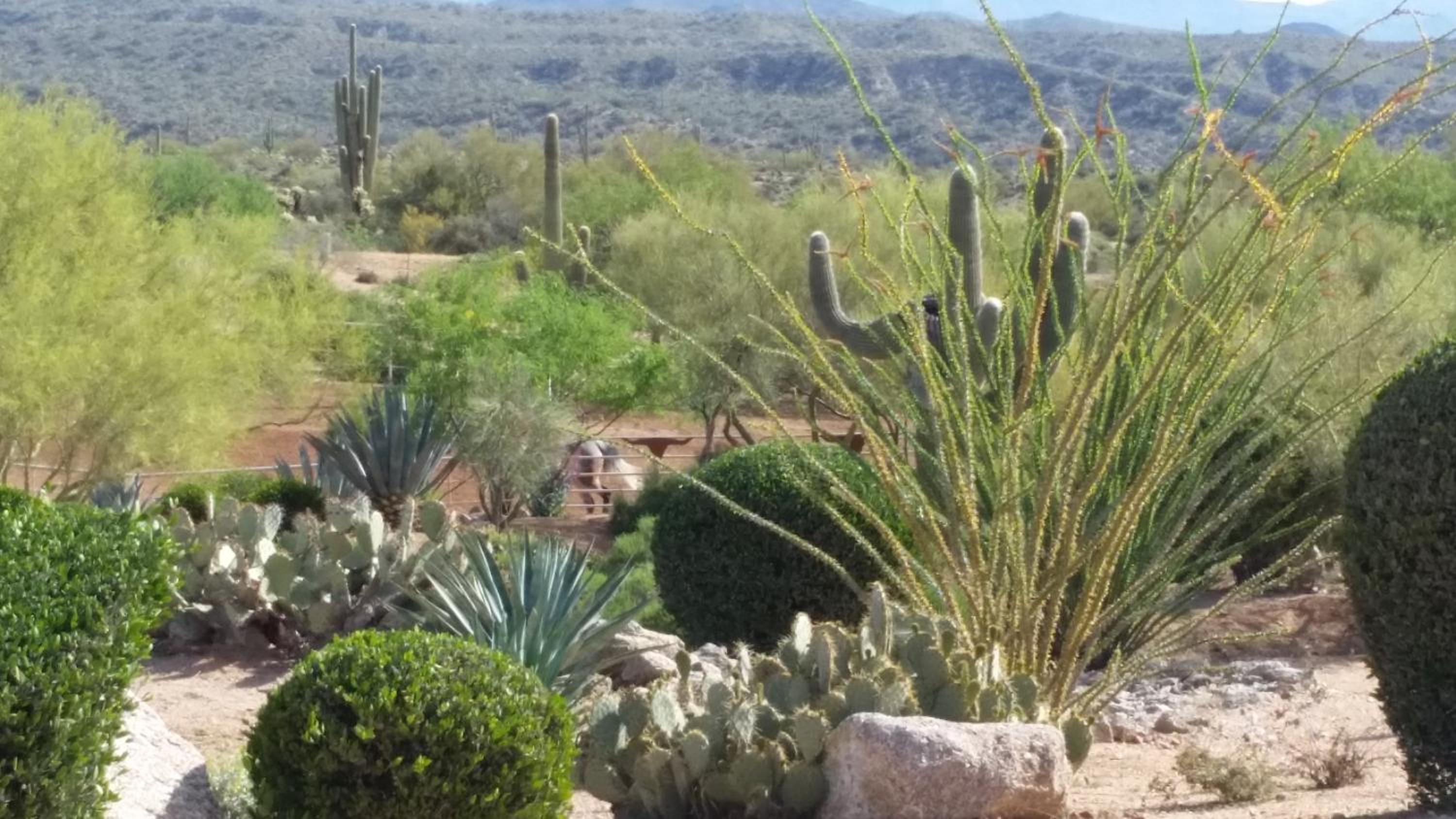 Rio Rancho Verde Two Bedroom Suite