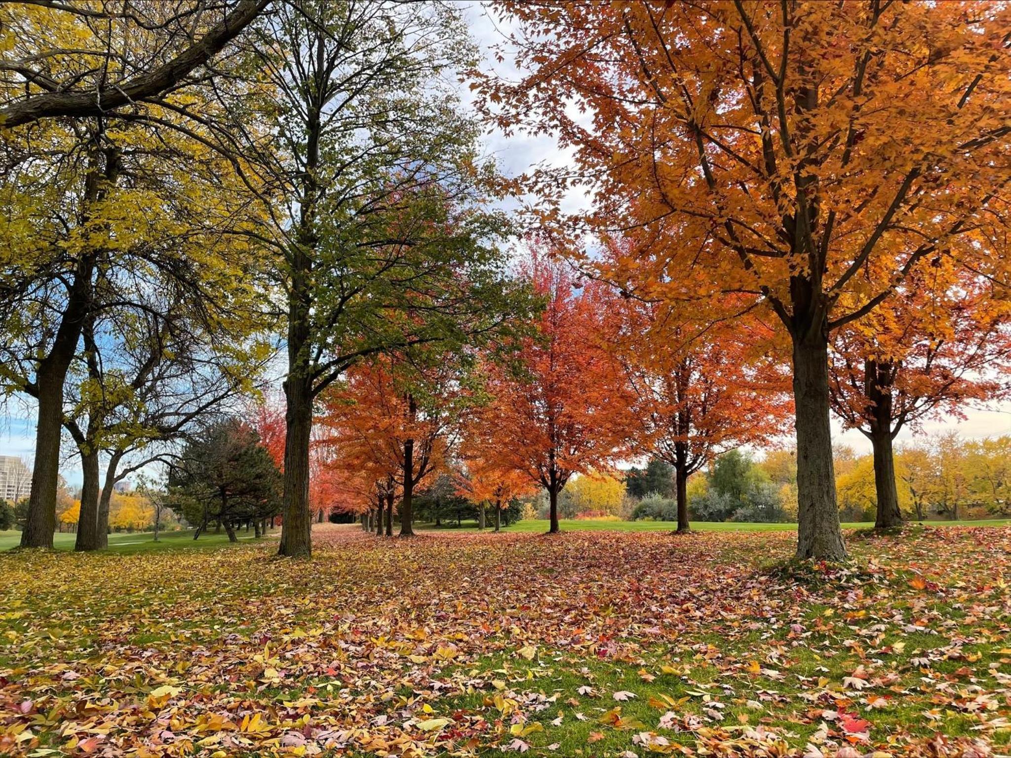 Barrie Vacations - BHF Near College  Hosp Self-Service Check-in So Fast Net Free Parking In Barrie - Property Image 3