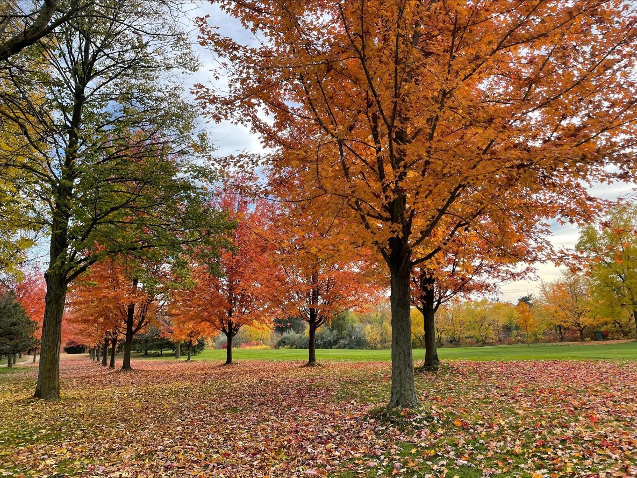 Barrie Vacations - BHF Near College  Hosp Self-Service Check-in So Fast Net Free Parking In Barrie - Property Image 2