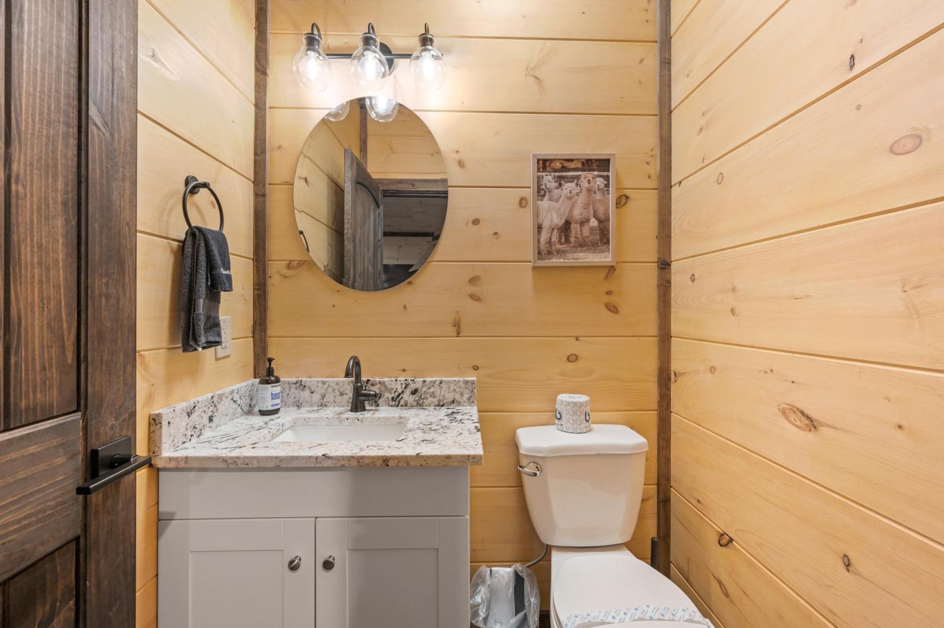 New Cozy Mountain Chalet Hot Tub Near Downtown