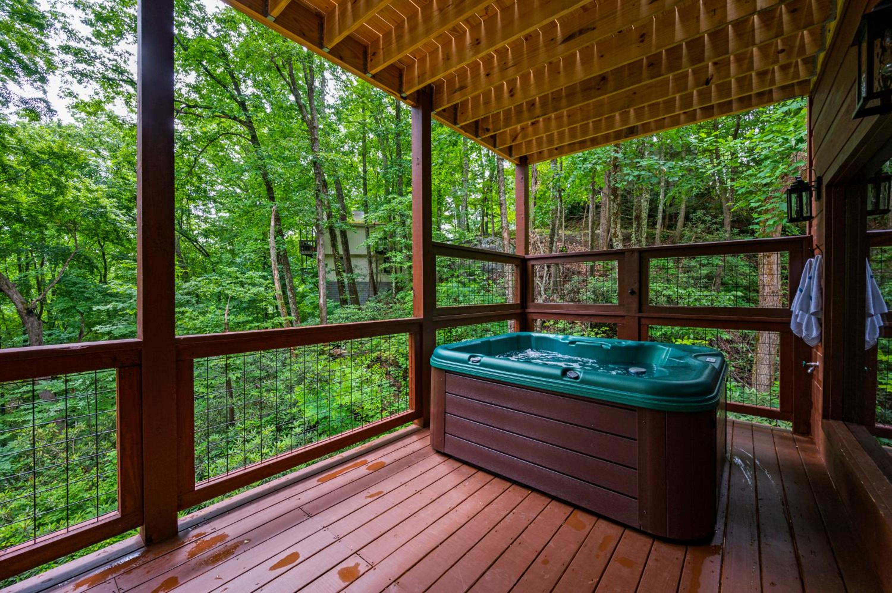 New Cozy Mountain Chalet Hot Tub Near Downtown